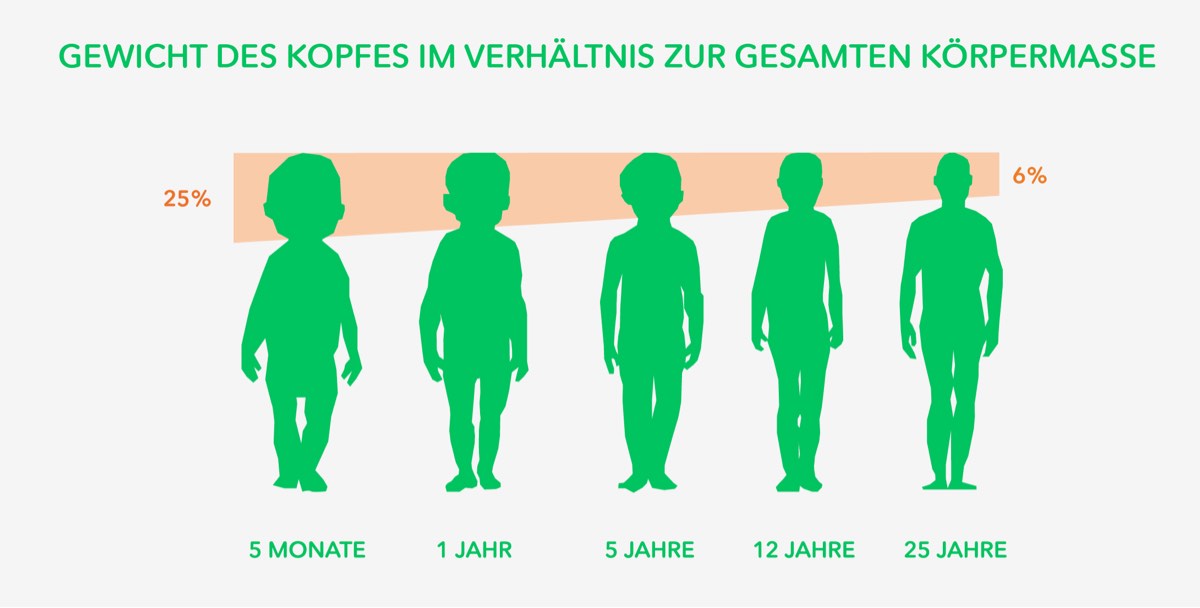 Zwergperten Diagram Kindersitze